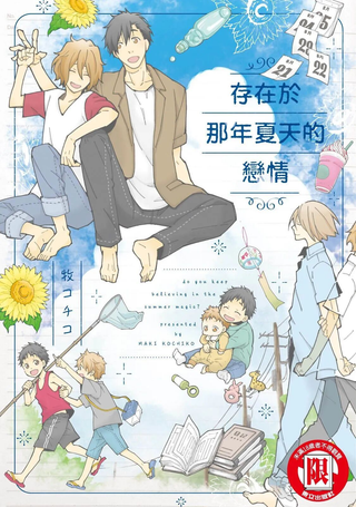 存在于那年夏天的恋情