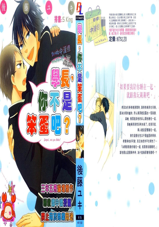 学长,你不是笨蛋吧