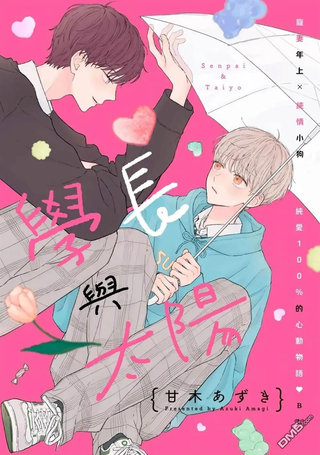 学长与太阳