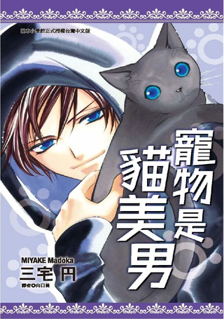 宠物是猫美男