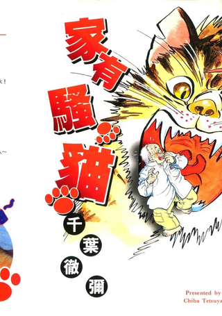 家有骚猫