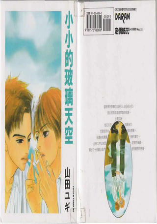 小小的玻璃天空