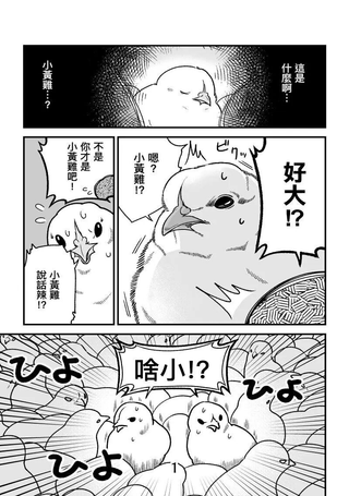 小黄鸡梦醒后