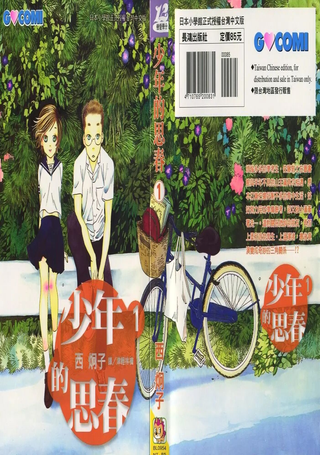 少年的思春