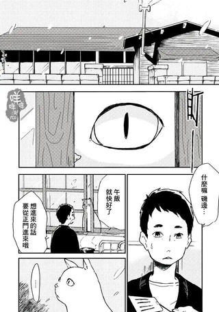 年糕猫