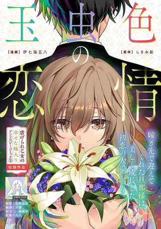彩虹色的恋情