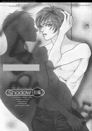 影子shadow