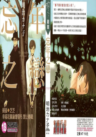 忘年之恋