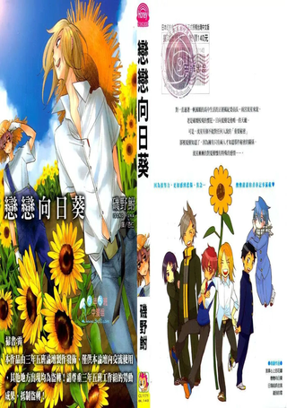 恋恋向日葵