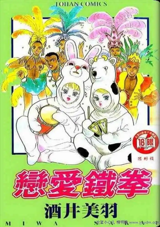 恋爱铁拳