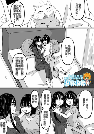 我们一起学猫闹
