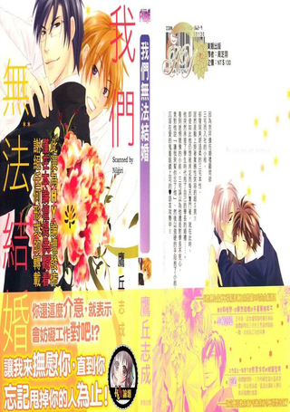 我们无法结婚