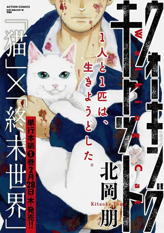 与猫随行