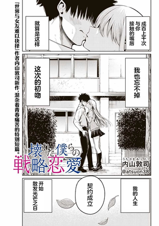 我们被毁坏的战略恋爱