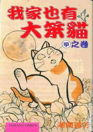 我家也有大笨猫