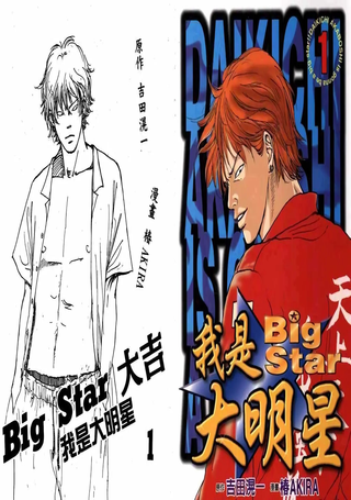 我是大明星