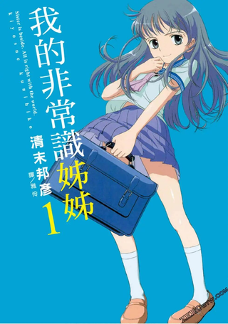 我的非常识姊姊