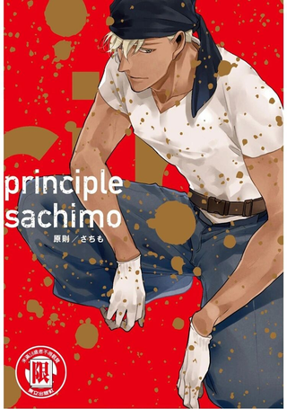 principle原则