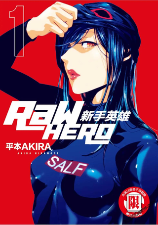 RaW HERO新手英雄
