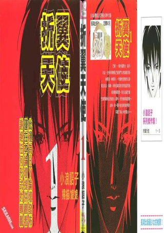折翼天使