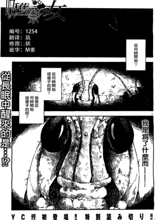 收获祭少女