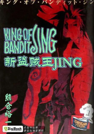 新盗贼王JING