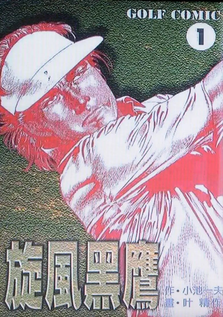 旋风黑鹰