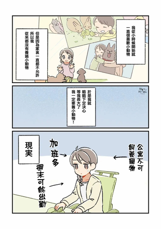 无宠物白领的动物记