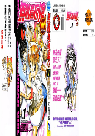 无敌看板娘N