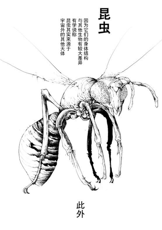 昆虫宇宙起源学说考据