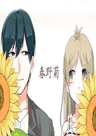 春野菊