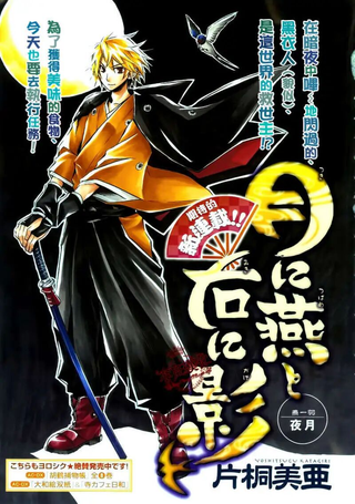 月间燕·右之影