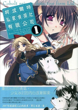 柯波尔特私家侦探社有限公司