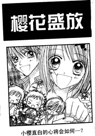 樱花盛放