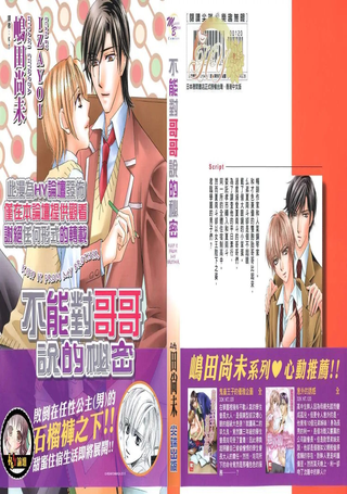 不能对哥哥说的秘密
