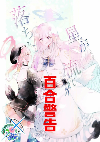 流星的归宿