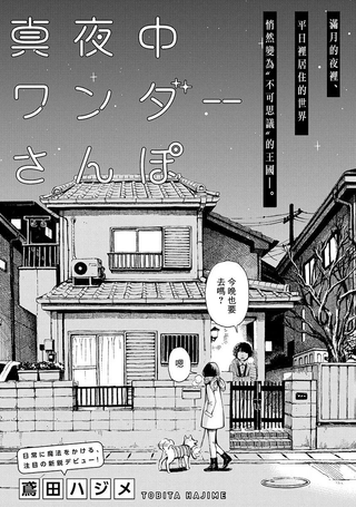 深夜里的奇幻散步