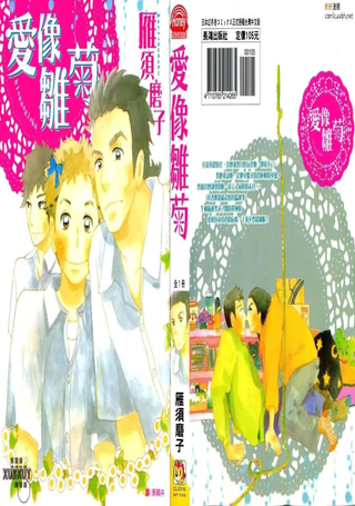 爱像雏菊
