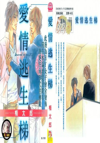爱情逃生梯