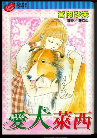 爱犬莱西