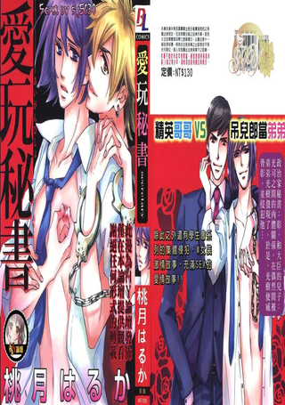 爱玩秘书