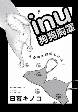 狗狗胸罩