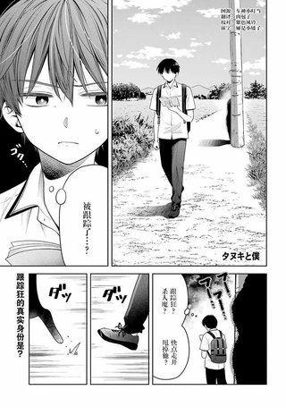 狸猫与我