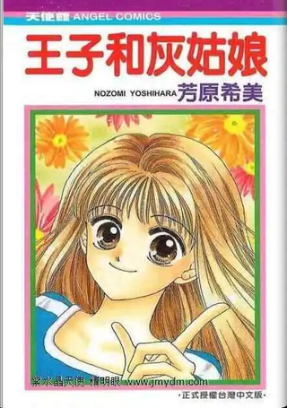 王子和灰姑娘