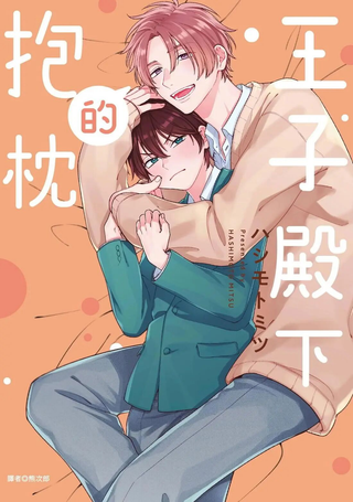 王子殿下的抱枕