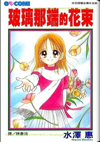 玻璃那端的花束
