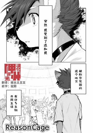 理性之笼·ReasonCage