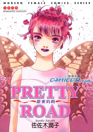 甜蜜的路