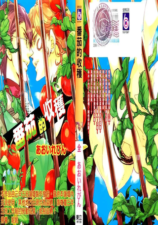 番茄的收获