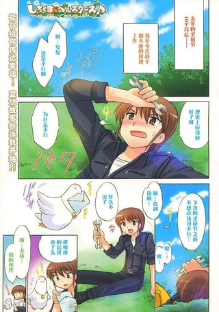 白熊市的圣诞少女们
